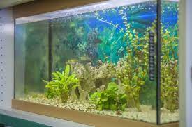 20 Gallon Fish Tank Our Top Five Choices Aquariadise