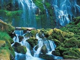 Feel free to download, share, comment and discuss every wallpaper you like. Large Nature Wallpapers Top Free Large Nature Backgrounds Wallpaperaccess