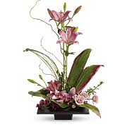 Check spelling or type a new query. Funeral Customs For Different Religions And Cultures Teleflora