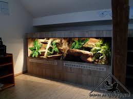 Beautiful Environment Large Areas Of Water Waterfall Possibility To Split Into 2 Halves Reptile Terrarium Reptile Habitat Lizard Terrarium
