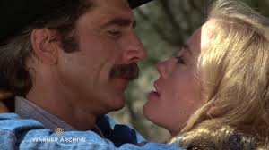 Does anybody remember the short lived show "The Yellow Rose of Texas?"