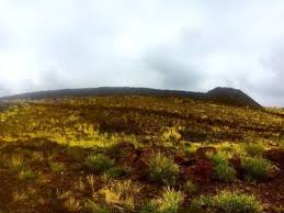 The temple was part of a prophecy that was fulfilled when kamehameha succesfully united the hawaiian islands. Pu Ukohola Heiau National Historic Site Hawaii Hawaii Beliebte Routen Alltrails