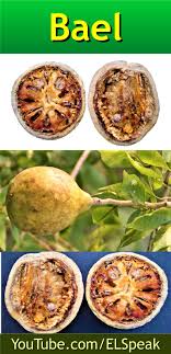 Pin By English Speaking Club On Fruits Fruit List Fruit Fruits Name In English