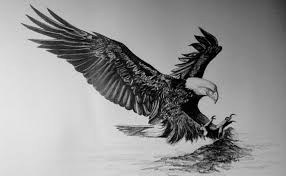 Bird Of Prey Tattoo Bald Eagle Flying Bird Of Prey Limited By Sherimareanartist 9 99 Eagle Drawing Eagle Chest Tattoo Eagle Tattoos