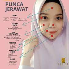 Untuk mengobatinya, obat jerawat yang dijual bebas di apotek tidaklah cukup. Punca Jerawat Feelta Secret Jelly Herraz Glow Serum Facebook