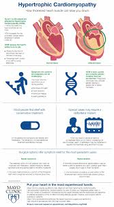 Infographic Hypertrophic Cardiomyopathy Mayo Clinic News Network Hypertrophic Cardiomyopathy Cardiovascular Nursing Medical Illustration