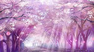 2560x1440 Anime Landscape Scenic Sakura Blossom Cherry Path Sunlight Anime Scenery Wallpaper Anime Scenery Anime Cherry Blossom
