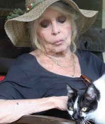 People only like beautiful cats, no one love me cause i'm ugly 💔🥹