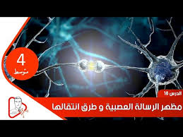 يوفر النظام مدخل خاص وامن لأعضاء الكنترول لادخال النتائح ومراجعتها. Ø§Ù„Ø¯Ø±Ø³ 18 Ù…Ø¸Ù‡Ø± Ø§Ù„Ø±Ø³Ø§Ù„Ø© Ø§Ù„Ø¹ØµØ¨ÙŠØ© Ùˆ Ø·Ø±Ù‚ Ø§Ù†ØªÙ‚Ø§Ù„Ù‡Ø§ Ø§Ù„Ø£Ø³ØªØ§Ø° Ù…Ø±ÙŠØ®ÙŠ Ø§Ù„ØµØ§Ø¯Ù‚ Mp3 Free Download