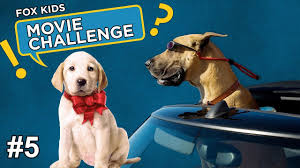 John and jenny were just beginning their life together. Which Dog Is Better Marmaduke Vs Marley Me Ep 5 Dogs Youtube