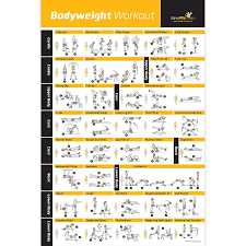 Pepronica Fitness Bodyweight Workout Exercise Strength Training Chart Home Gym Routine Glossy Wall Poster Paper 12x18 Inch Black