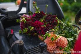 Just look for the 'free cancellation' message during your hotel search. Dahlia Acres Farm Pick Your Own Flowers Husonville Mi Michigan Sweet Spot