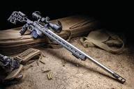Savage Arms 110 Elite Precision Review: Excellent All-Around ...