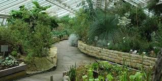 When to get there the berlin botanical garden and berlin. Grosses Tropenhaus Berlin Botanischer Garten