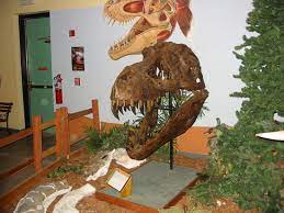 We did not find results for: Dinosaur Museum Review Of Museum Of Western Colorado Dinosaur Journey Museum Fruita Co Tripadvisor