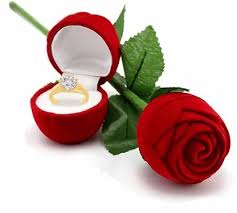 Surprise and mesmerize your girlfriend with gifts every day leading up to valentine's day. Np Set Of 2 Red Rose Ring Perfect Valentine Gift For Girlfriend Wife Woman And Life Partner Vanity Box Price In India Buy Np Set Of 2 Red Rose Ring