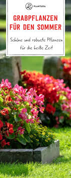 Grabbepflanzung Im Sommer Geeignete Blumen Pflege Grabbepflanzung Bepflanzung Pflanzen
