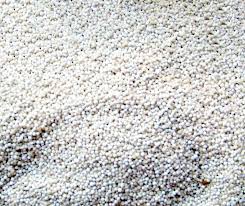 By pusat internet 1 malaysia kg tebuk rashidin, selangor · updated about 5 years ago. Sagu Definition And Synonyms Of Sagu In The Malay Dictionary