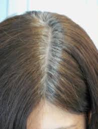 Each hair on our heads is made up of two parts: Why Do I Have More Grey Hair Shades Italian Hairdresser