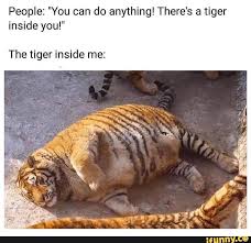 People You Can Do Anything There S A Tiger Inside You The Tiger Inside Me Ifunny Funny Friday Memes Funny Animal Memes Funny Relatable Memes