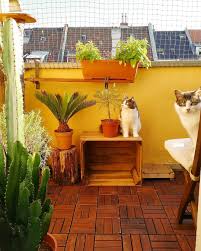Ihr Mochtet Euren Balkon Katzensicher Machen Wir Verraten Euch Die Besten Tipps Um Euren Katzenbalkon Sicher Und Scho In 2020 Katze Balkon Balkon Katzensicher Katzen