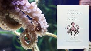 Oktopus is the only local solution to work in native 4k straight out of the box and delivers an incredible performance without an expensive. Erstaunliches Seelenleben Der Kraken Rendezvous Mit Einem Oktopus Archiv