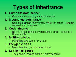 Codominance in genetics is a type of interaction between alleles. Codominance Vs Incomplete Dominance Teaching Biology Biology Classroom Biology Lessons