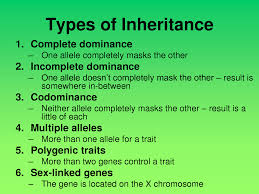 In both types of inheritance, the heterozygotes express the traits carried by both alleles. Codominance Vs Incomplete Dominance Teaching Biology Biology Classroom Biology Lessons