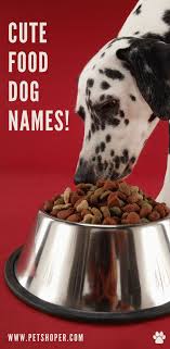 If you're searching for the cutest kitty moniker, get ready for the ultimate list of japanese food names for cats! Cute Food Dog Names 87 Ideas With Video Petshoper