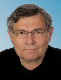 Fraktion im Gemeinderat