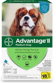 Advantage Ii Flea Spot Treatment For Dogs 11 20 Lbs 6 Doses 6 Mos Supply Chewy Com