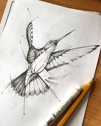 Hummingbird Tattoo Design Sketch Drawing Pencil Fineliner Disegno Arte Bird Drawings Bird Art Art Sketches
