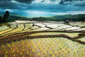 If you do not allow these cookies we will not know when you have visited our site, and will not be able to monitor its performance. Kungs Don T You Know Feat Jamie N Commons Listen On Online Radio Box