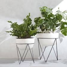 See our ideas on how to display indoor plants decor. Iris Indoor Outdoor Planter On Stand