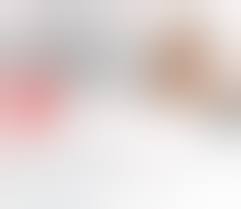 Adult Cam Review