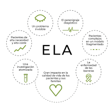 La esclerosis lateral amiotrófica, o conocida como ela, es un trastorno neurodegenerativo que se caracteriza por la muerte celular de las neuronas motoras que. Que Es La Ela Esclerosis Lateral Amiotrofica Fundacion Luzon