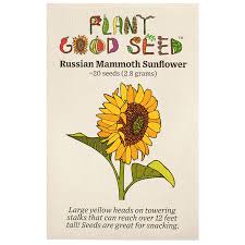 Poke a small hole and plant seeds. Russian Mammoth Seed Packet Mammoth Sunflower Seeds Annual Seeds Organically Grown Hand Harvested Annual Seed Packs Seeds Bulbs Craft Supplies Tools Vadel Com
