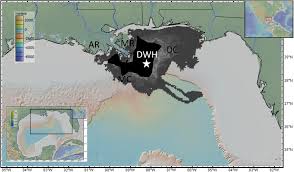 Senior scientist lisa dipinto from noaa's office of response and restoration remembers what it was like to witness the deepwater horizon oil spill. Frontiers A Synthesis Of Deep Benthic Faunal Impacts And Resilience Following The Deepwater Horizon Oil Spill Marine Science
