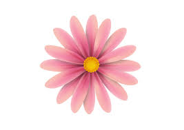 Polish your personal project or design with these pink flower transparent png images, make it even more personalized and more attractive. Pink Flower Vector Illustration