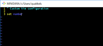 Open a command prompt (or git bash if during installation you elected not to use git from the windows command prompt). Configuring Vim When Using Git Bash On Windows Quakkels Com