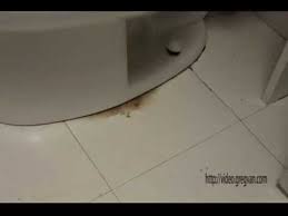 Leaks are such a pain. Loose Toilets Can Damage Wax Seal Creating A Water Leak At Floor Youtube