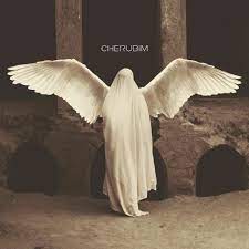 You may be looking for angels, which are god's messengers or seraphim. Cherubim By Adm X Eve