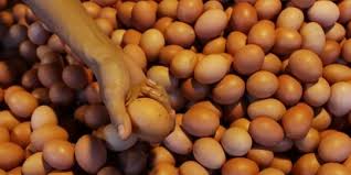 Info telur ayam sangat penting karena telur ayam merupakan salah satu produk yang paling proses tetaskan telur ayam harus memerhatikan beberapa faktor diantaranya yaitu telur yang. 8 Manfaat Telur Untuk Kesehatan Mencerdaskan Otak Hingga Cegah Stres Merdeka Com