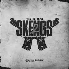 2 Skengs - Single by TS & A.M on Apple Music