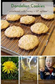 Dandelion Cookies Recipe Dandelion Recipes Foraging Recipes Foraged Food