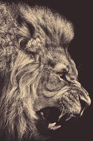 Badass Tatuajes De Cabeza De Leon Fotos De Leon Tatuajes De Animales