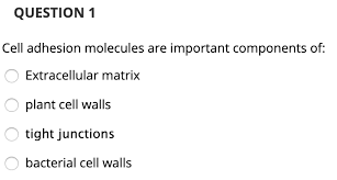 Check spelling or type a new query. Question 1 Cell Adhesion Molecules Are Important Chegg Com