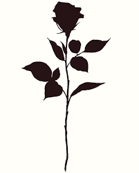 Resultado De Imagem Para Black Rose Tattoo Tatuagem Rosa Preta Tatuagens De Rosas Negras Rose Tattoo Black