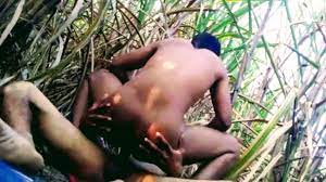 Indian gay sex video of horny farmer boys fucking in sugarcane fields -  Indian Gay Site