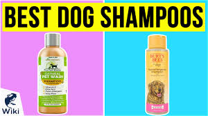 Top 10 Dog Shampoos Of 2020 Video Review
